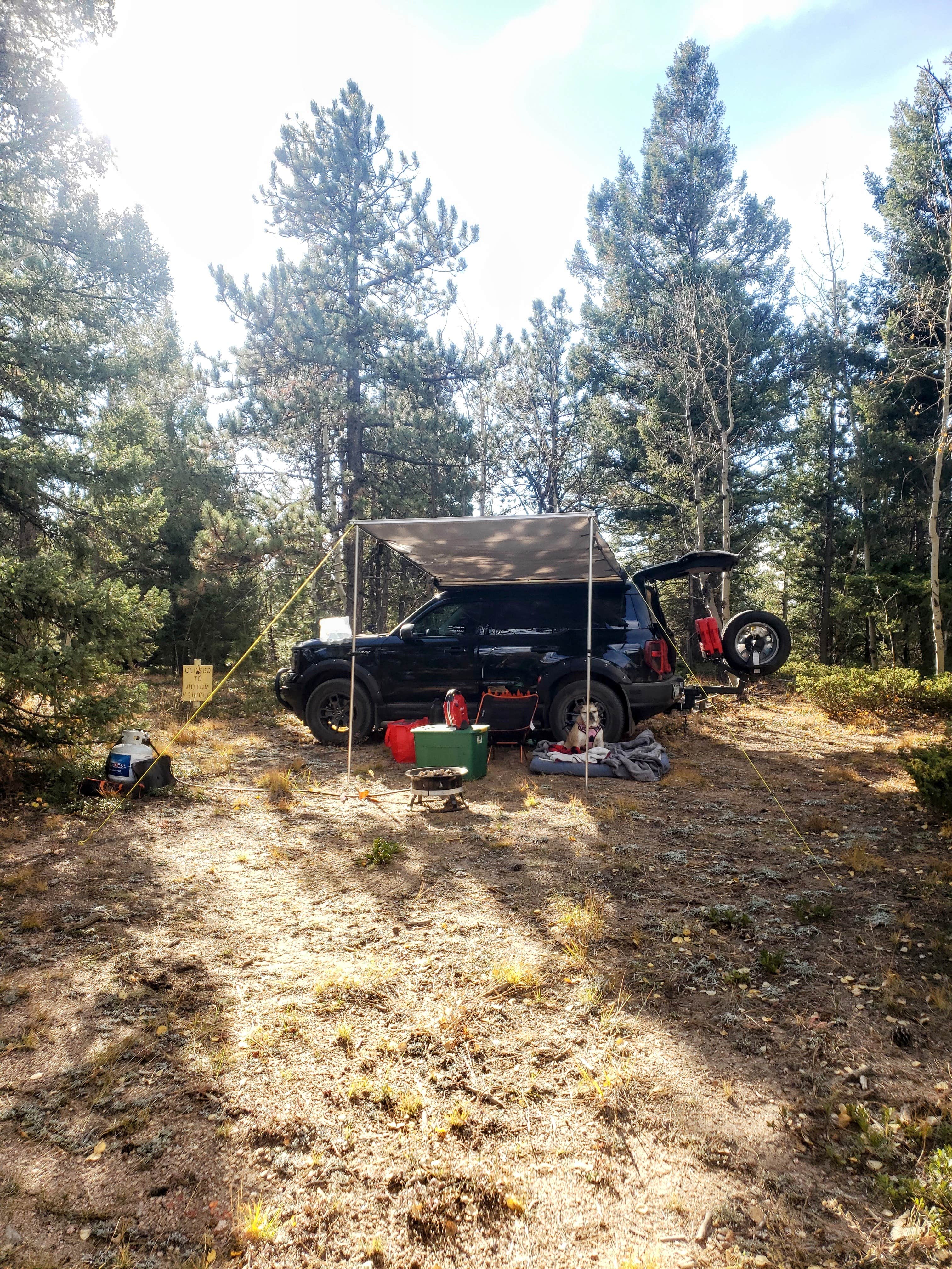 Camper submitted image from Dakan Road Camping - 1