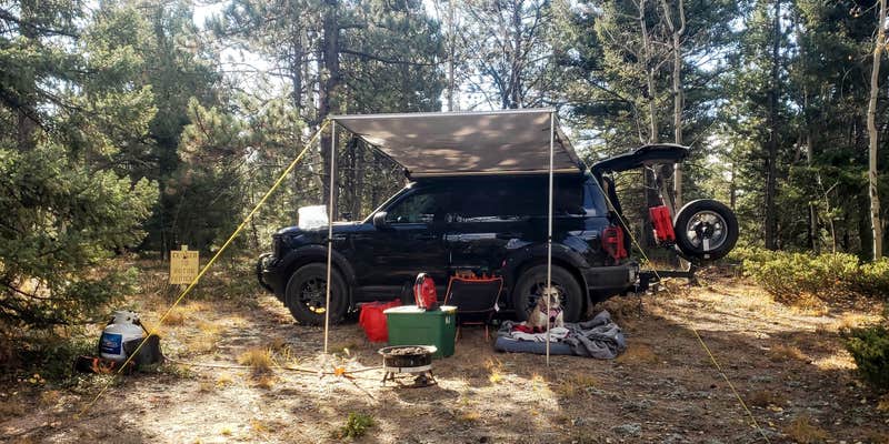 Camper submitted image from Dakan Road Camping