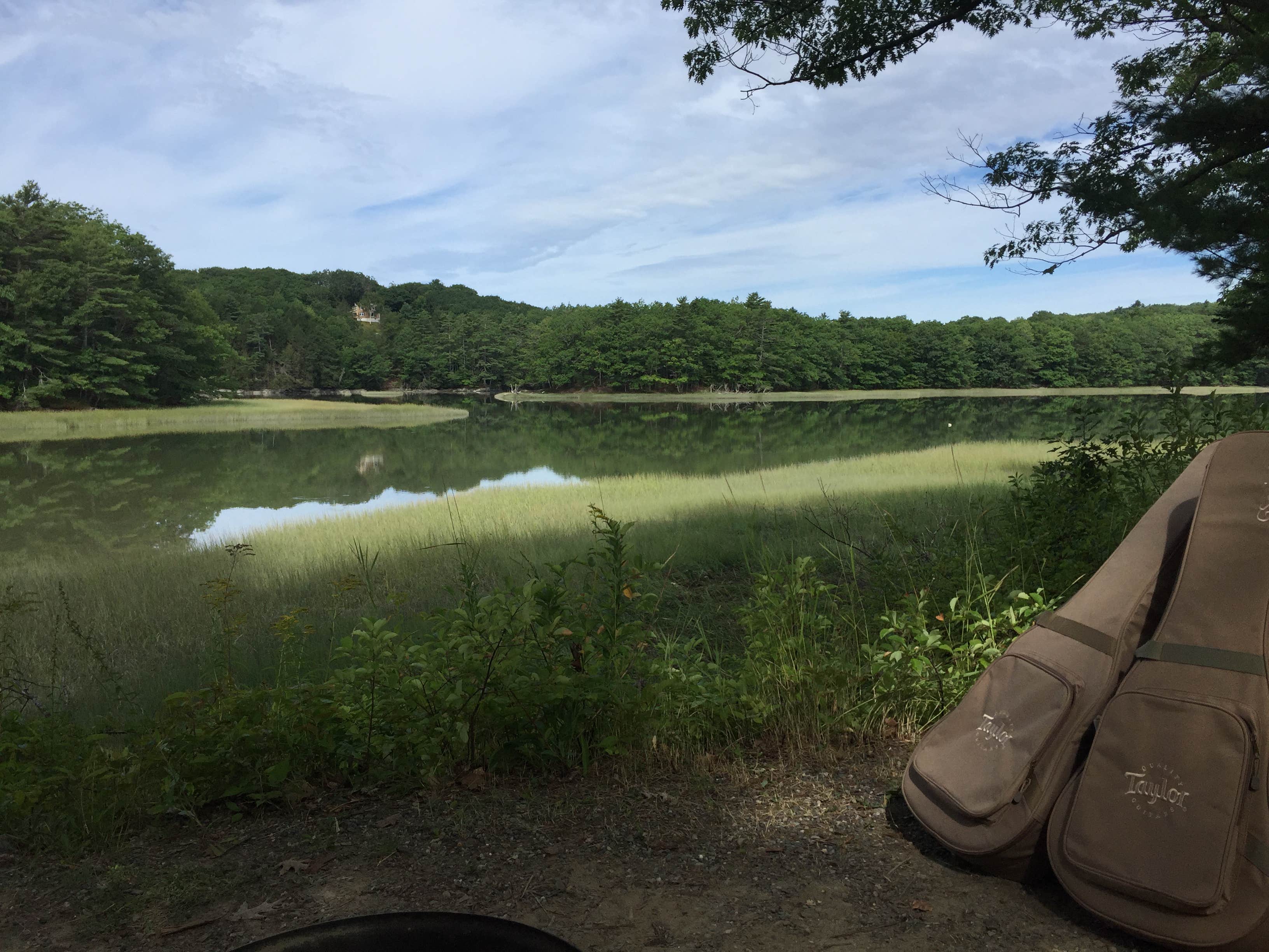 Camper submitted image from Shore Hills Campground & RV Park - 5
