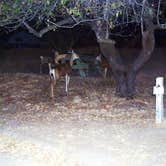 Review photo of Hermit Gulch Campground by robherr , September 11, 2018