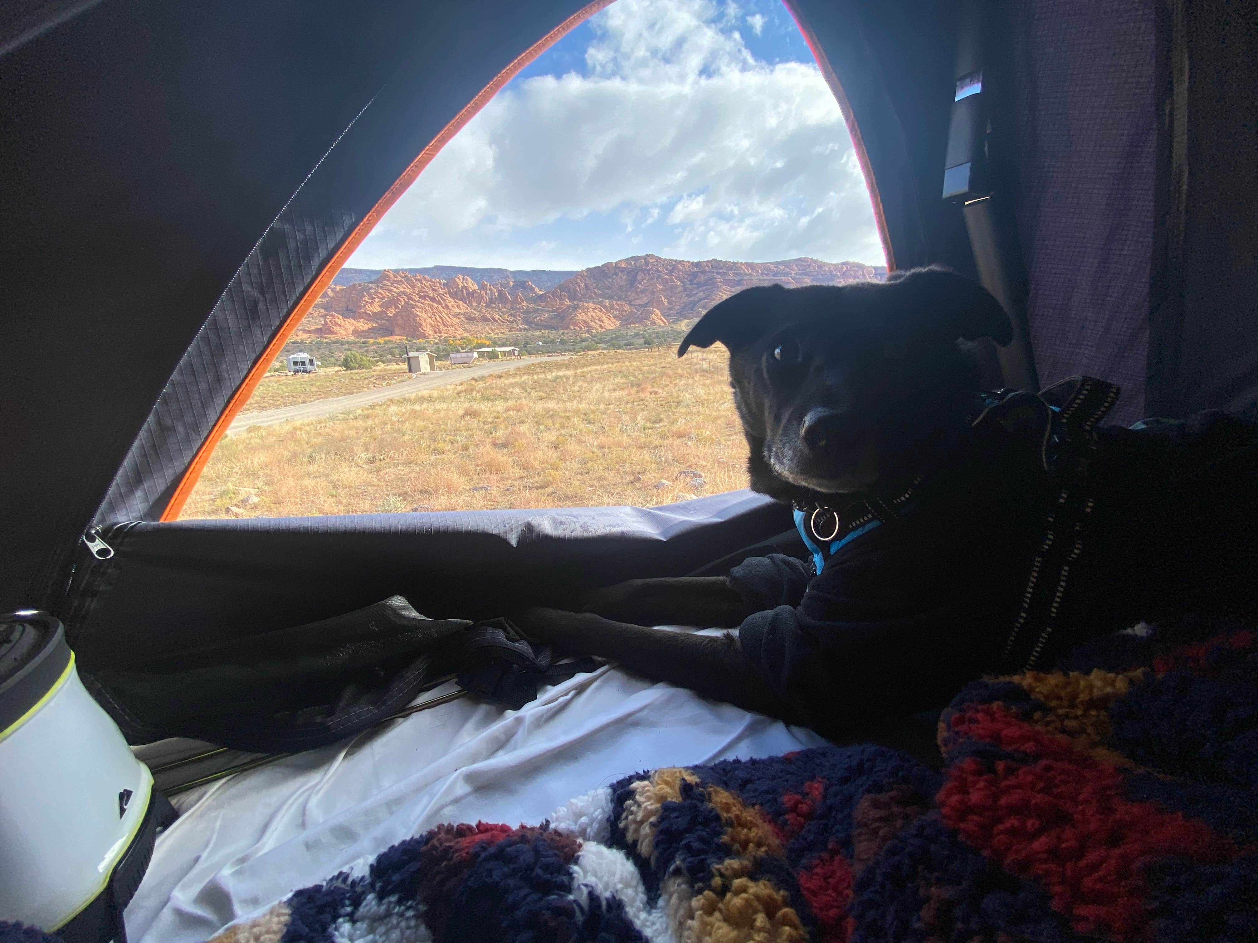 Eliana S.'s photo of camping with pets at Ken's Lake Campground near Rush Valley, UT