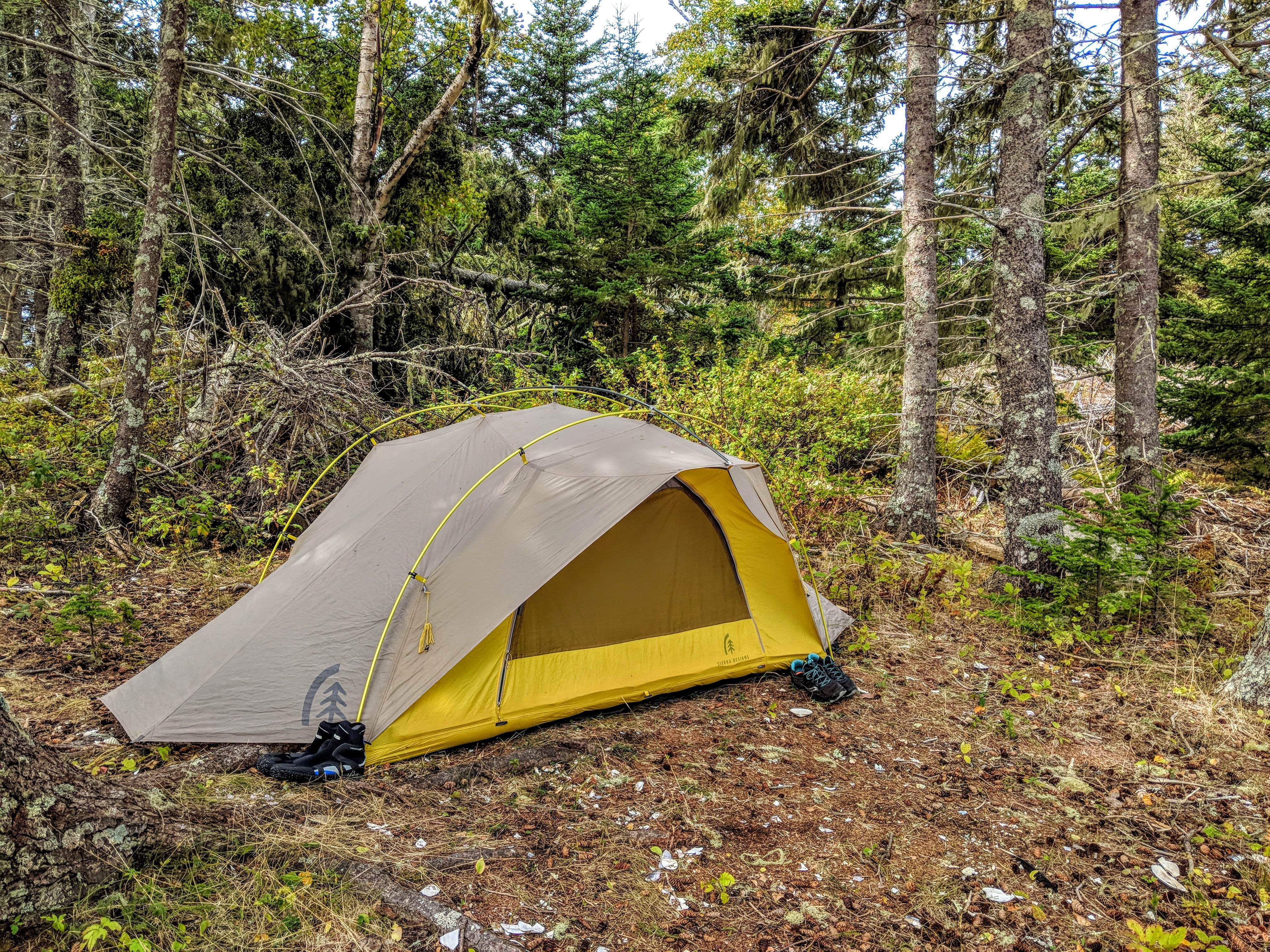 Shari  G.'s photo of tent camping at Nathan Island near Alna, ME