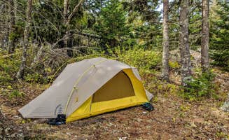 Shari  G.'s photo of tent camping at Nathan Island near Newcastle, ME