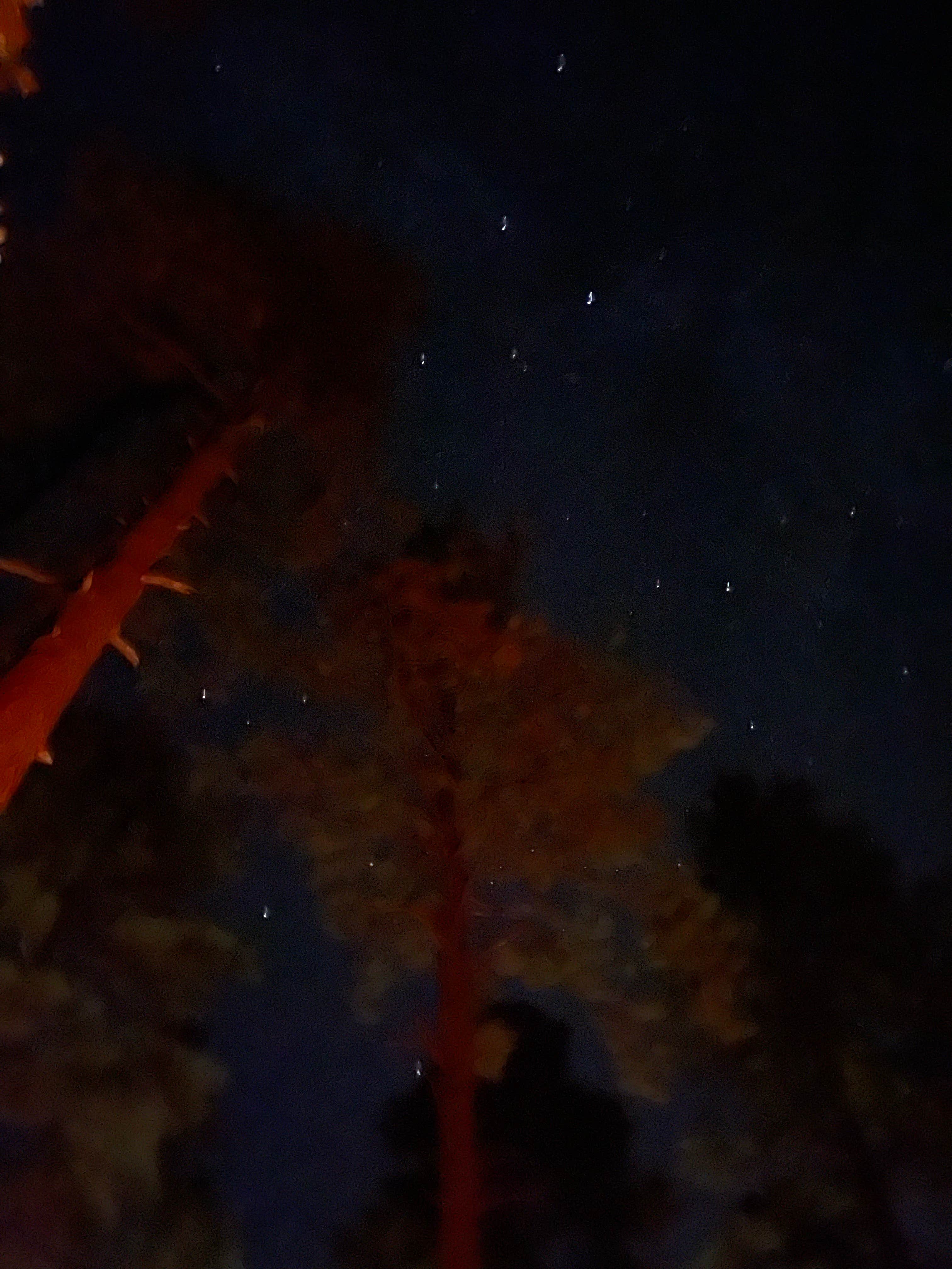 Camper-submitted photo at Lower Wolf Creek Campground near Mayer, AZ