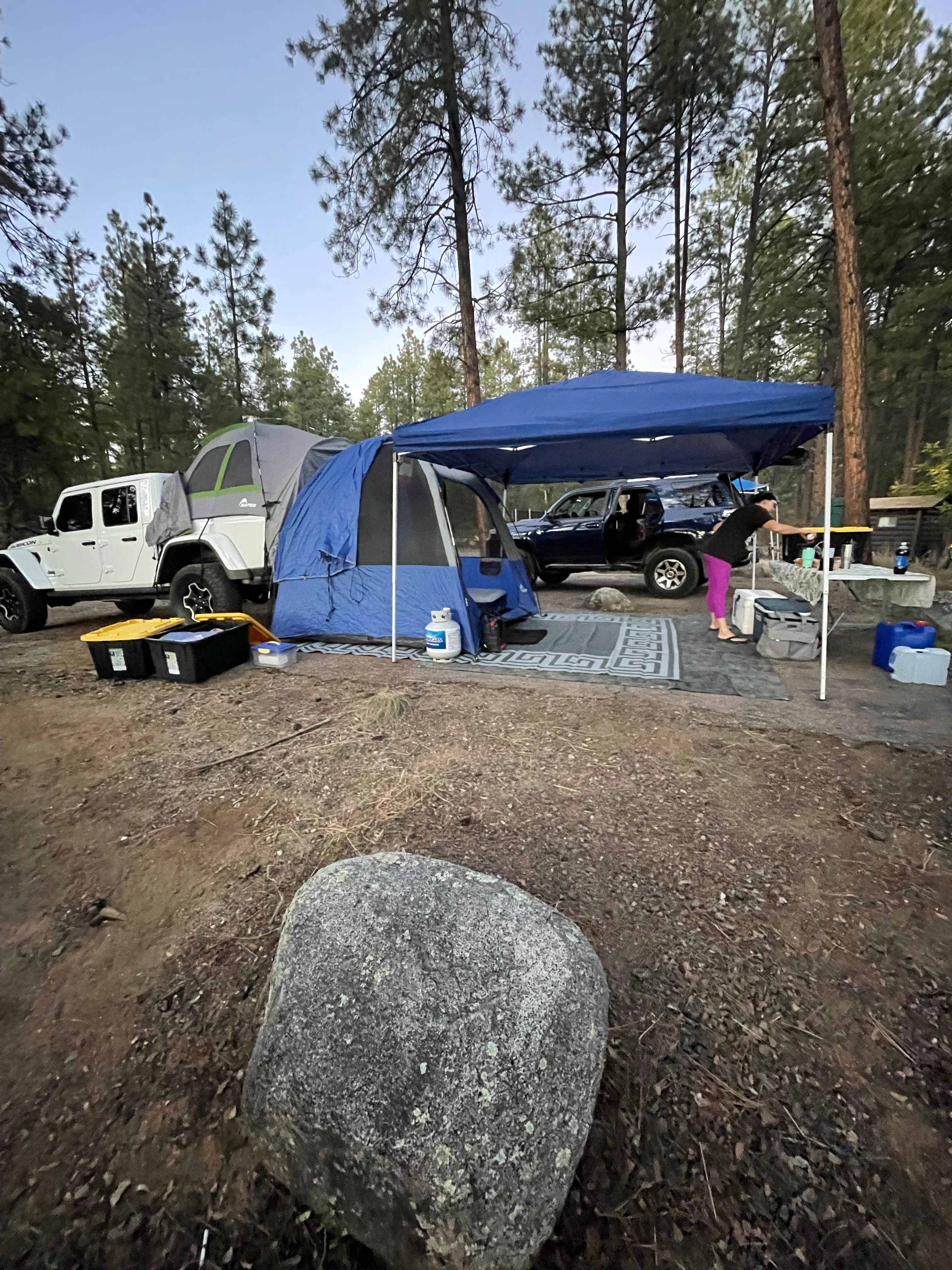Camper-submitted photo at Lower Wolf Creek Campground near Mayer, AZ