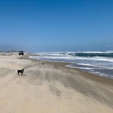 Review photo of Cape Point — Cape Lookout National Seashore by Katy Z., October 28, 2022