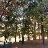 Review photo of Lake Catherine State Park Campground by Colleen B., October 28, 2022
