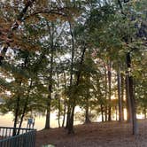 Review photo of Lake Catherine State Park Campground by Colleen B., October 28, 2022