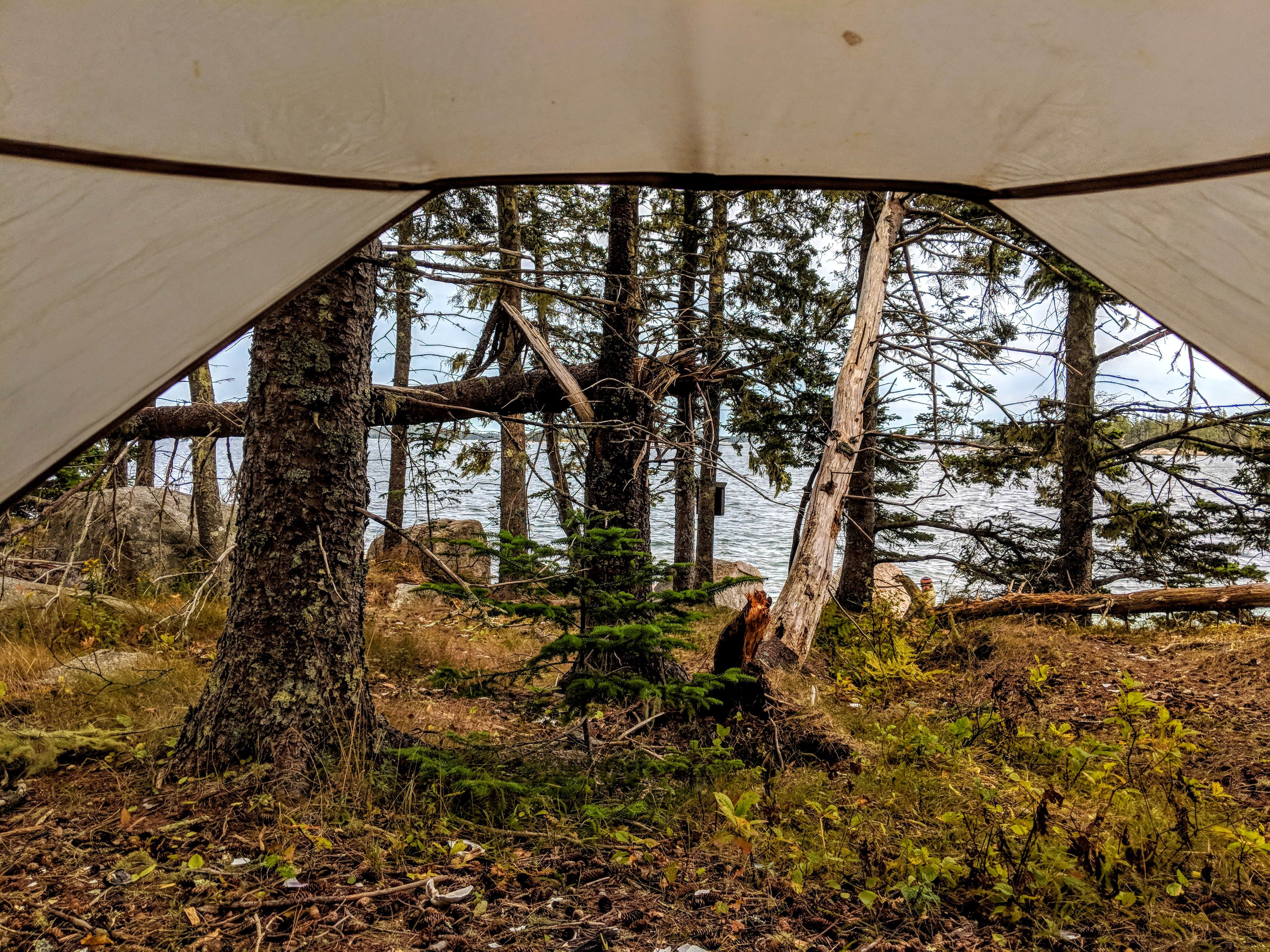 Camper-submitted photo at Nathan Island near Brooksville, ME