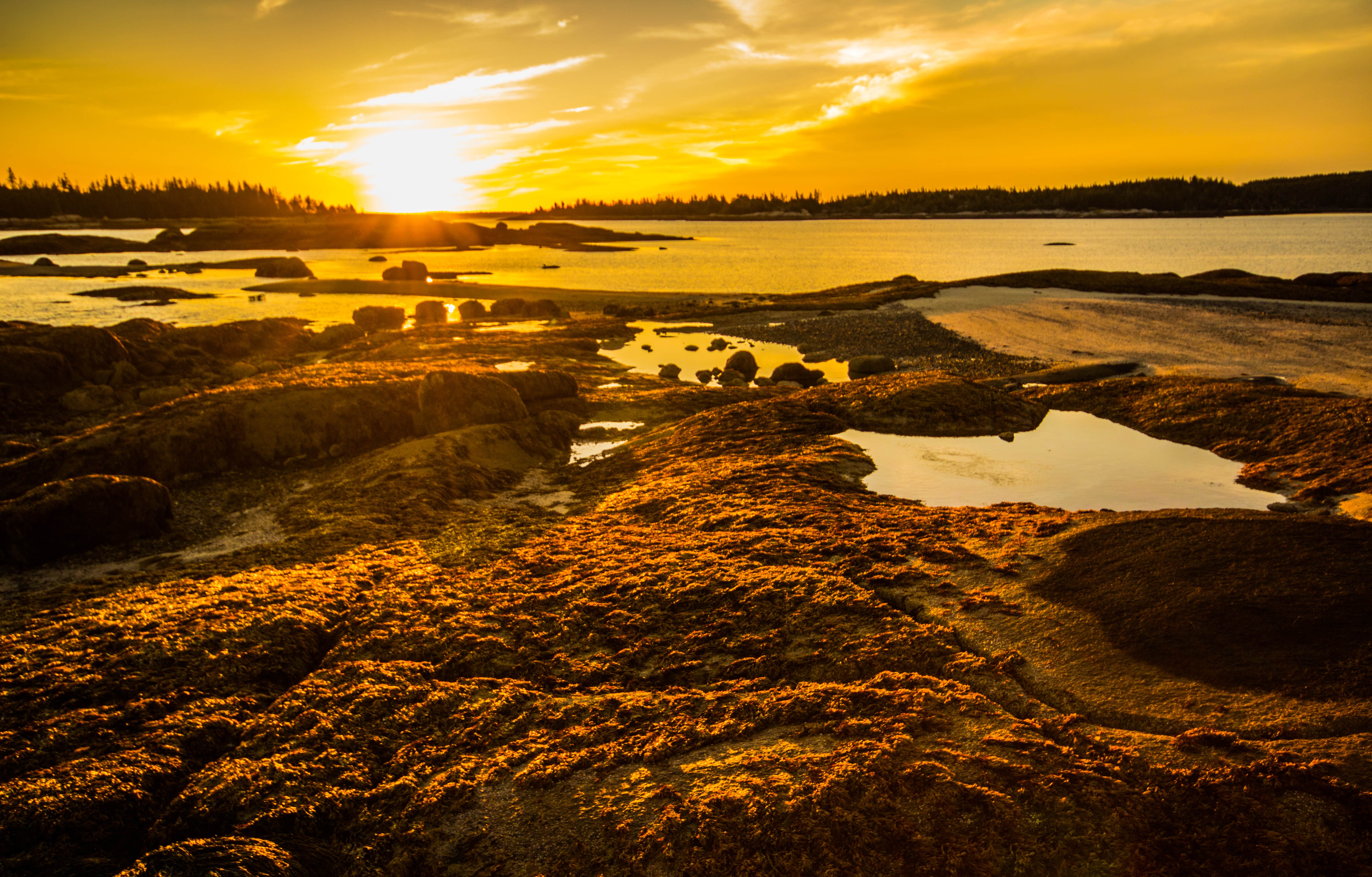 Camper-submitted photo at Nathan Island near Brooksville, ME
