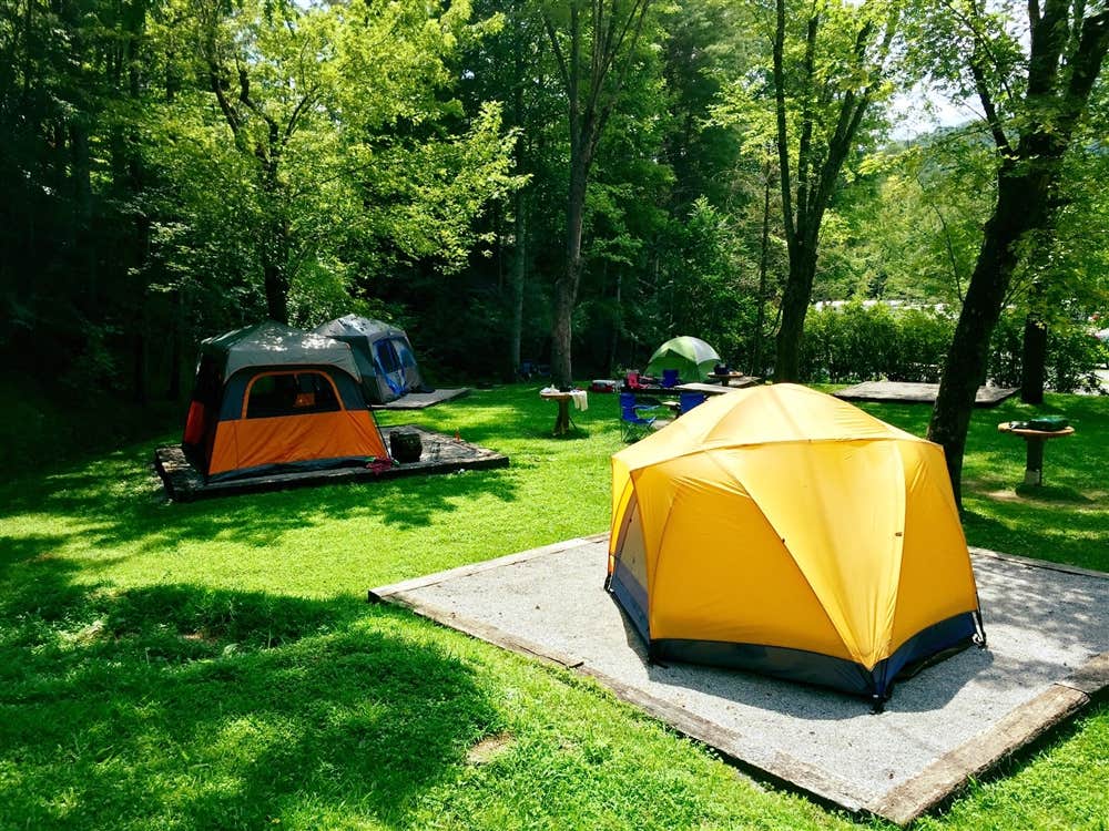 Camper-submitted photo at Camp LeConte Luxury Outdoor Resort near Sevierville, TN