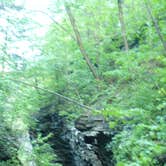 Review photo of Watkins Glen State Park Campground by Elliott B., August 8, 2016