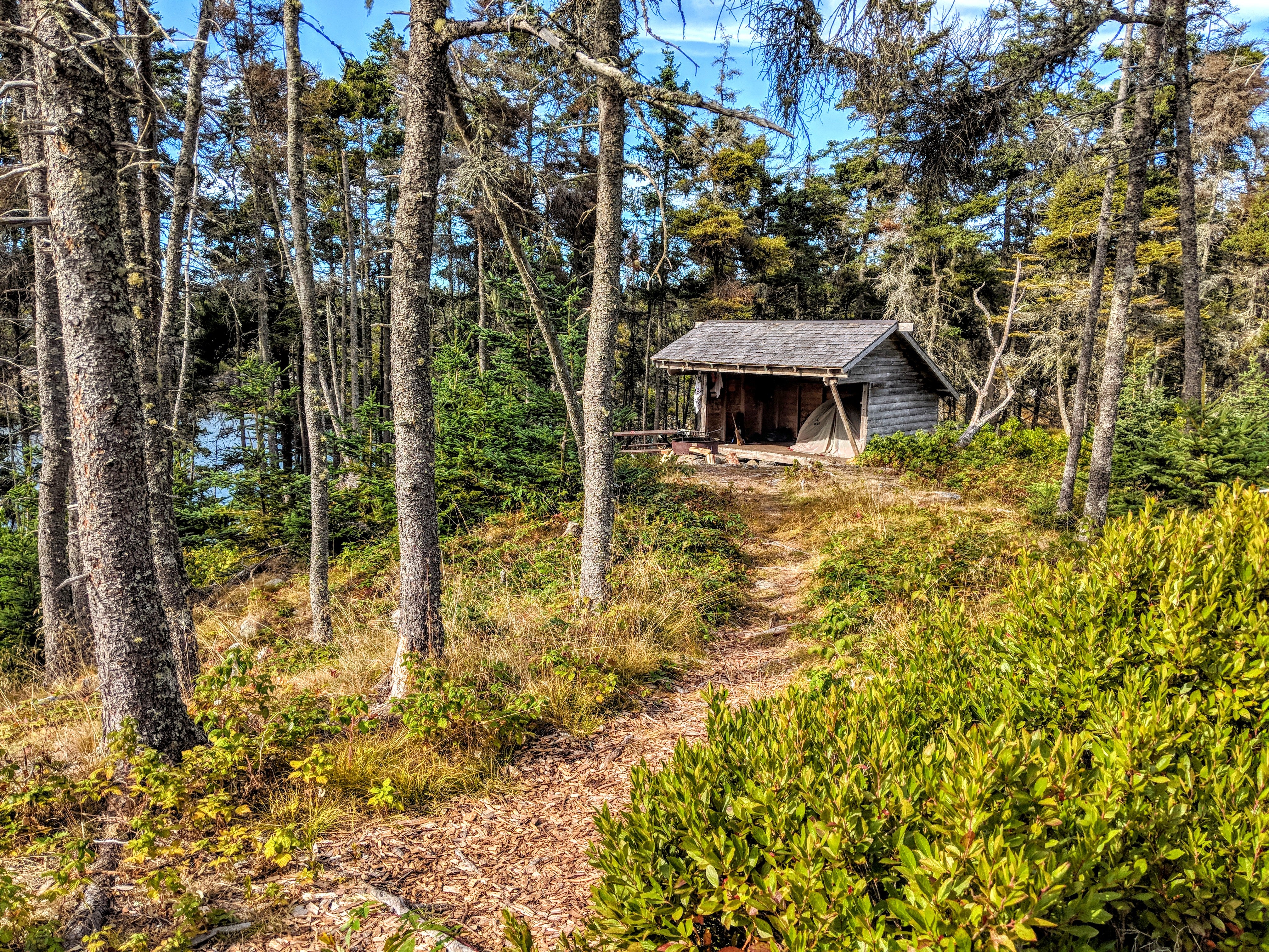Camper submitted image from Duck Harbor Campground — Acadia National Park - 5