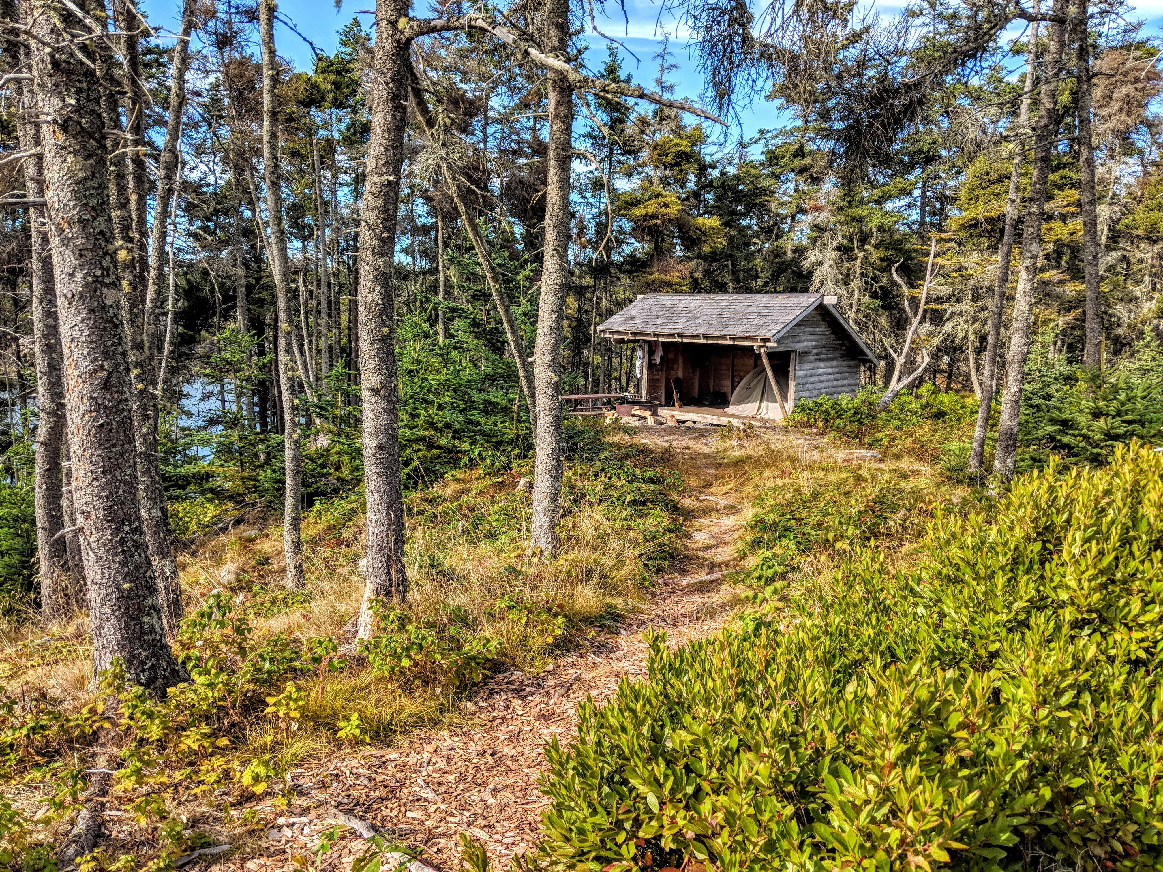 Camper submitted image from Duck Harbor Campground — Acadia National Park - 4