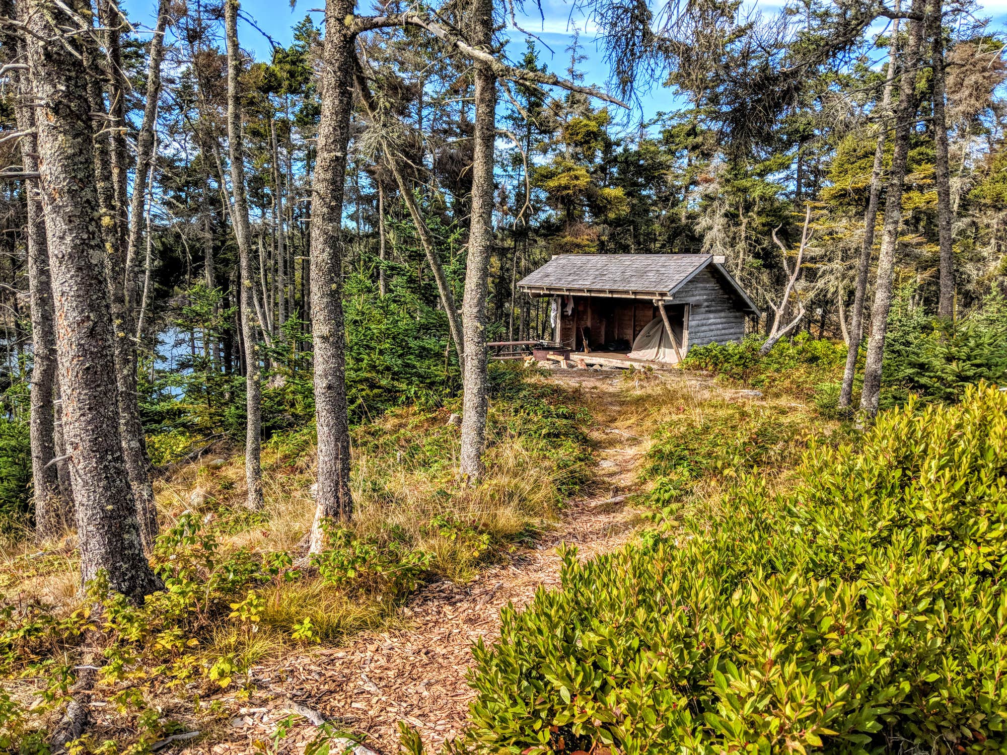 Duck Harbor Campground in Acadia National Park, Maine