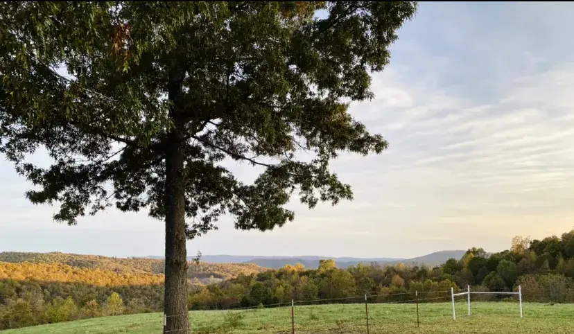 Down Home Campgrounds