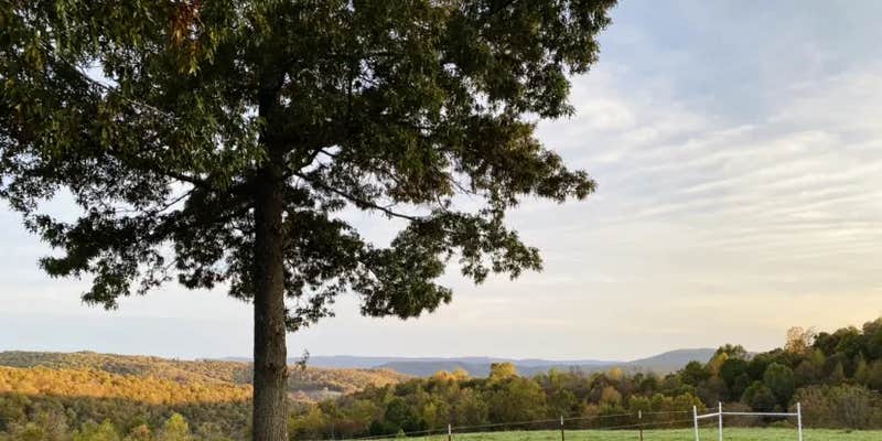 Camper submitted image from Down Home Campgrounds