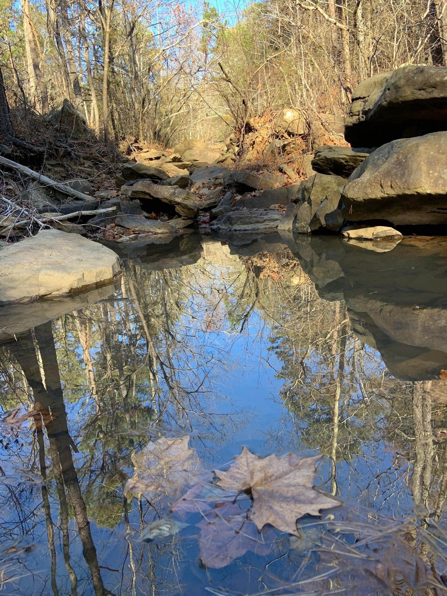 Camper-submitted photo at Fairfield Bay RV Campground & Marina near Marshall, AR