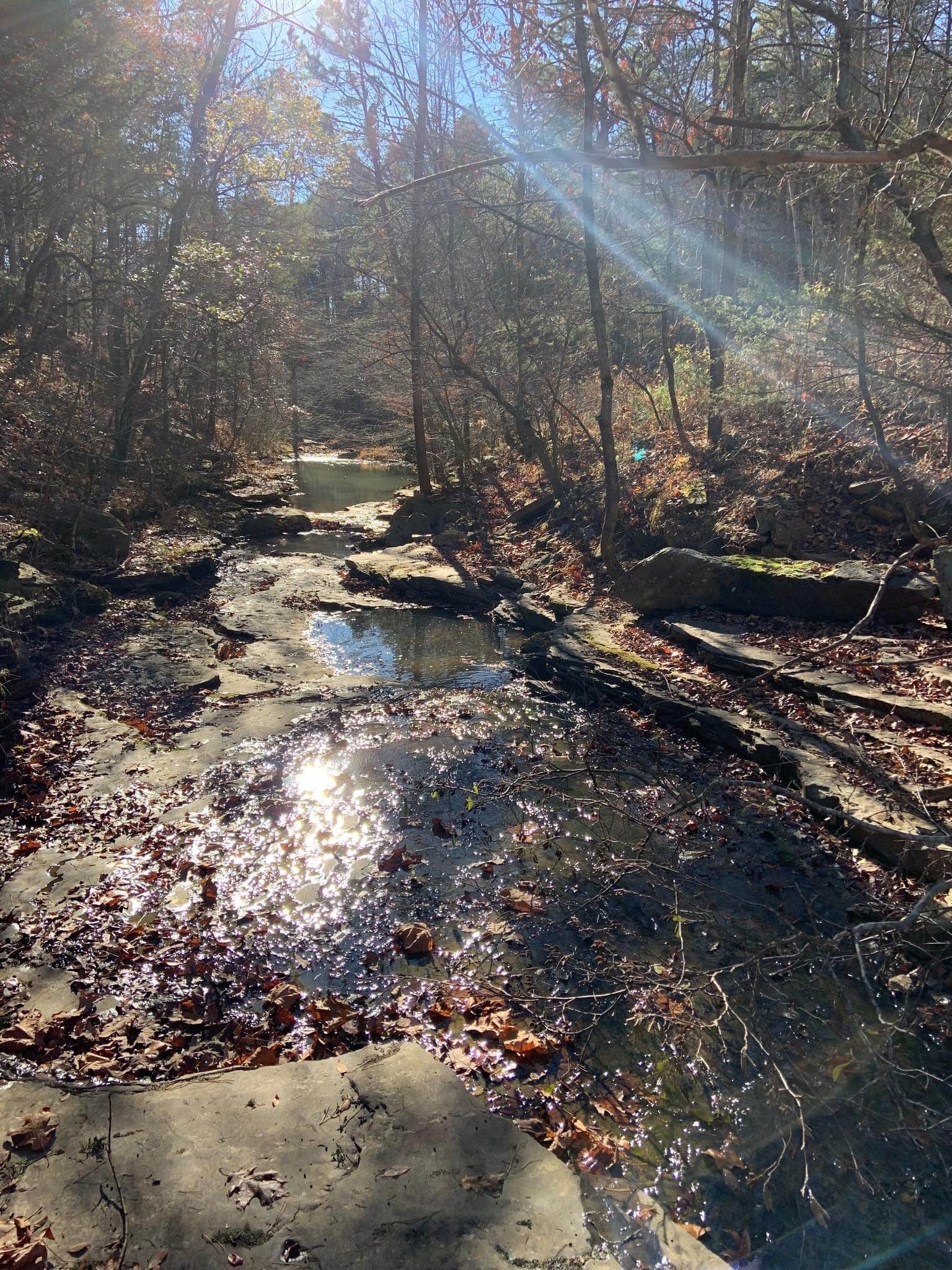 Camper-submitted photo at Fairfield Bay RV Campground & Marina near Marshall, AR