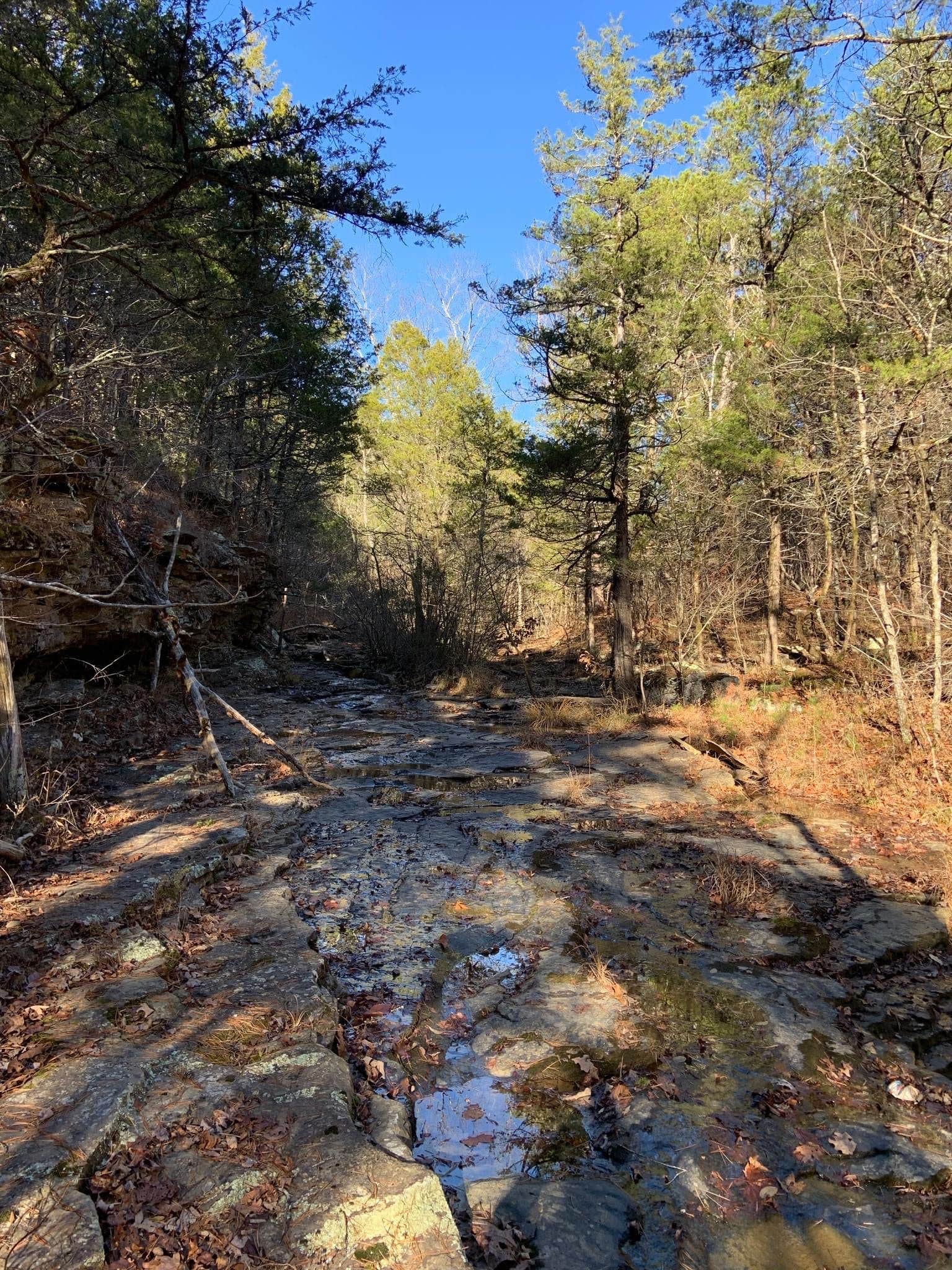 Camper-submitted photo at Fairfield Bay RV Campground & Marina near Marshall, AR