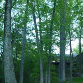 Review photo of Watkins Glen State Park Campground by Elliott B., August 8, 2016