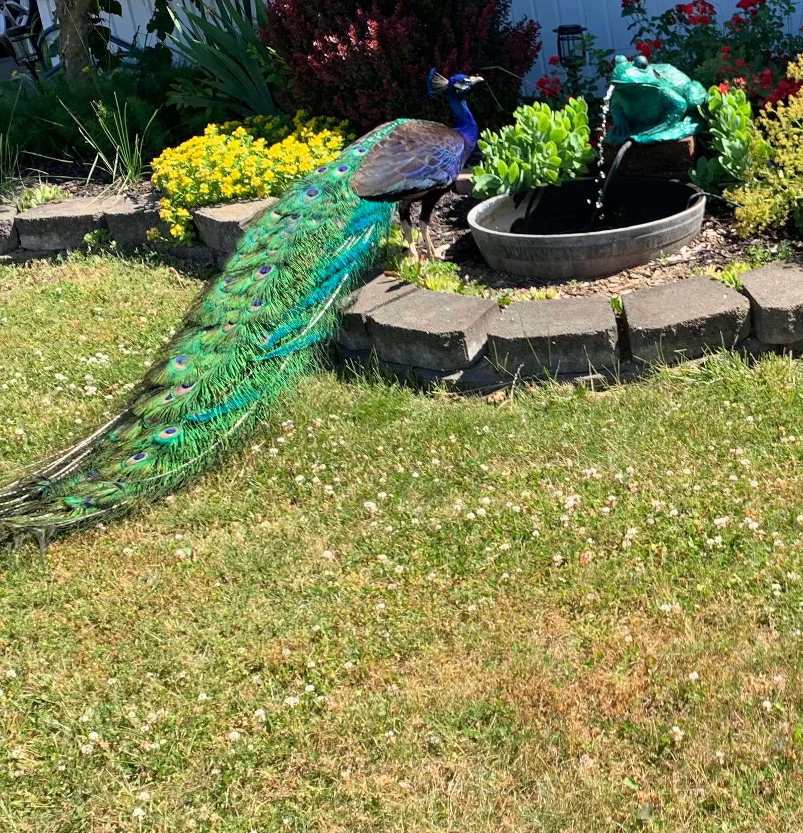 Camper-submitted photo at Greenwood Acres Family Campground near Pleasant Lake, MI