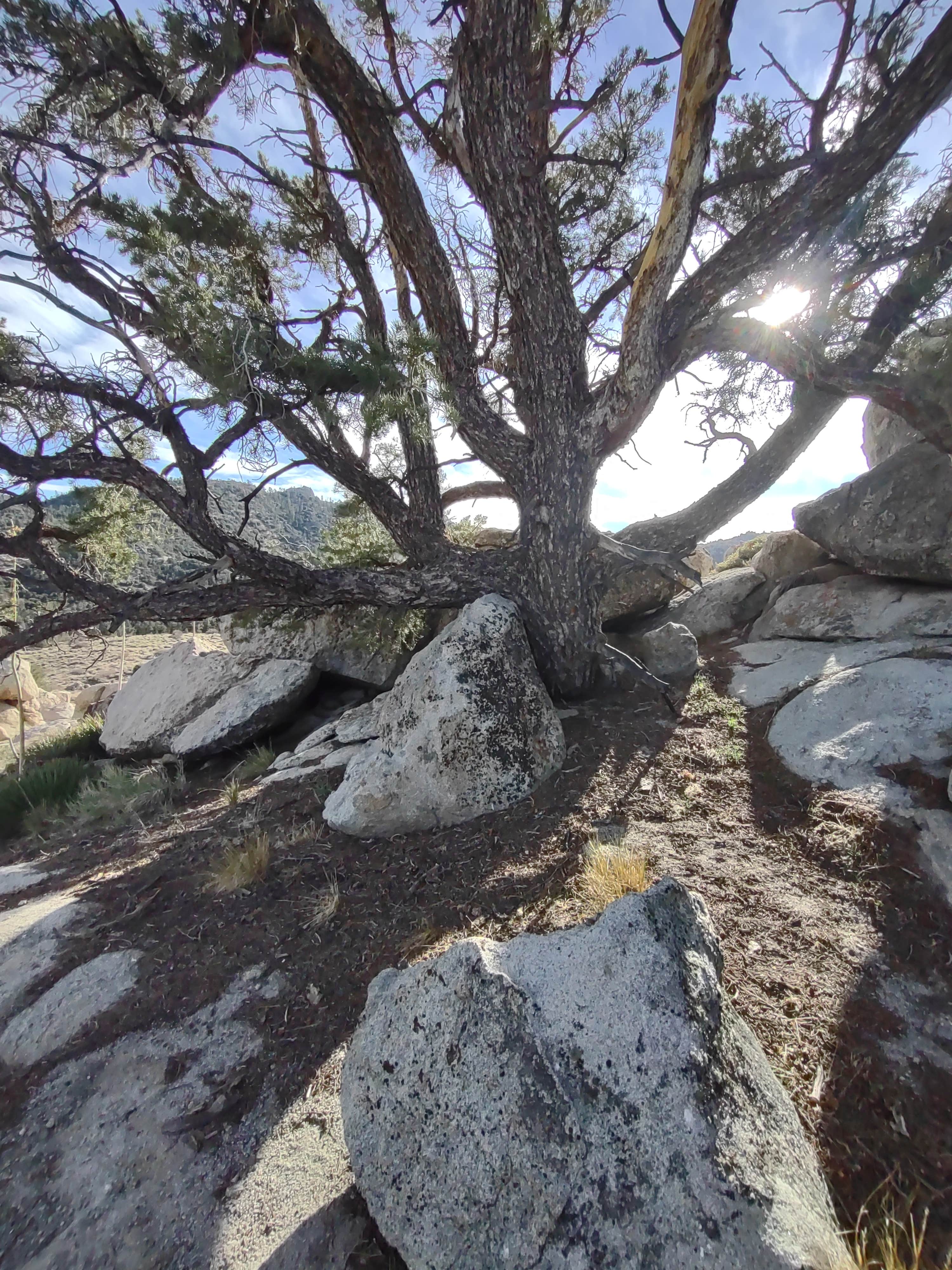 Camping near Lake Isabella RV Resort: Wandering Star, Weldon, California