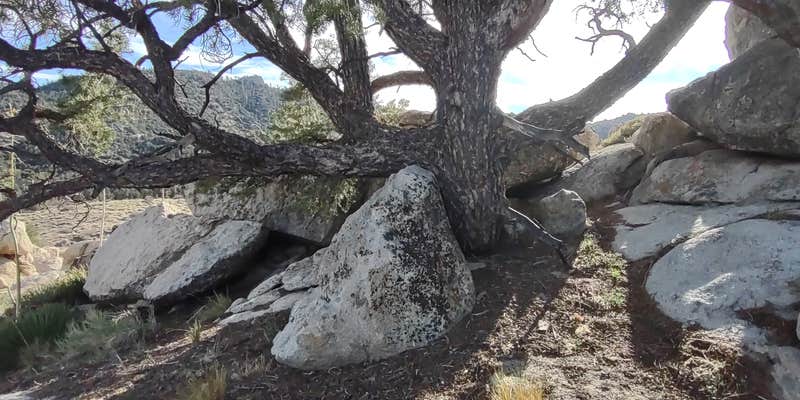 Camper submitted image from Wandering Star