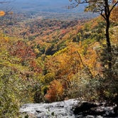 Review photo of Amicalola Falls State Park Camping by Brandon B., October 29, 2022