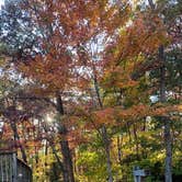 Review photo of Amicalola Falls State Park Camping by Brandon B., October 29, 2022