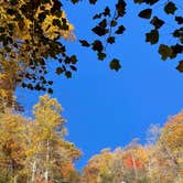 Review photo of Amicalola Falls State Park Camping by Brandon B., October 29, 2022