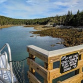 Review photo of Duck Harbor Campground — Acadia National Park by Shari  G., September 11, 2018