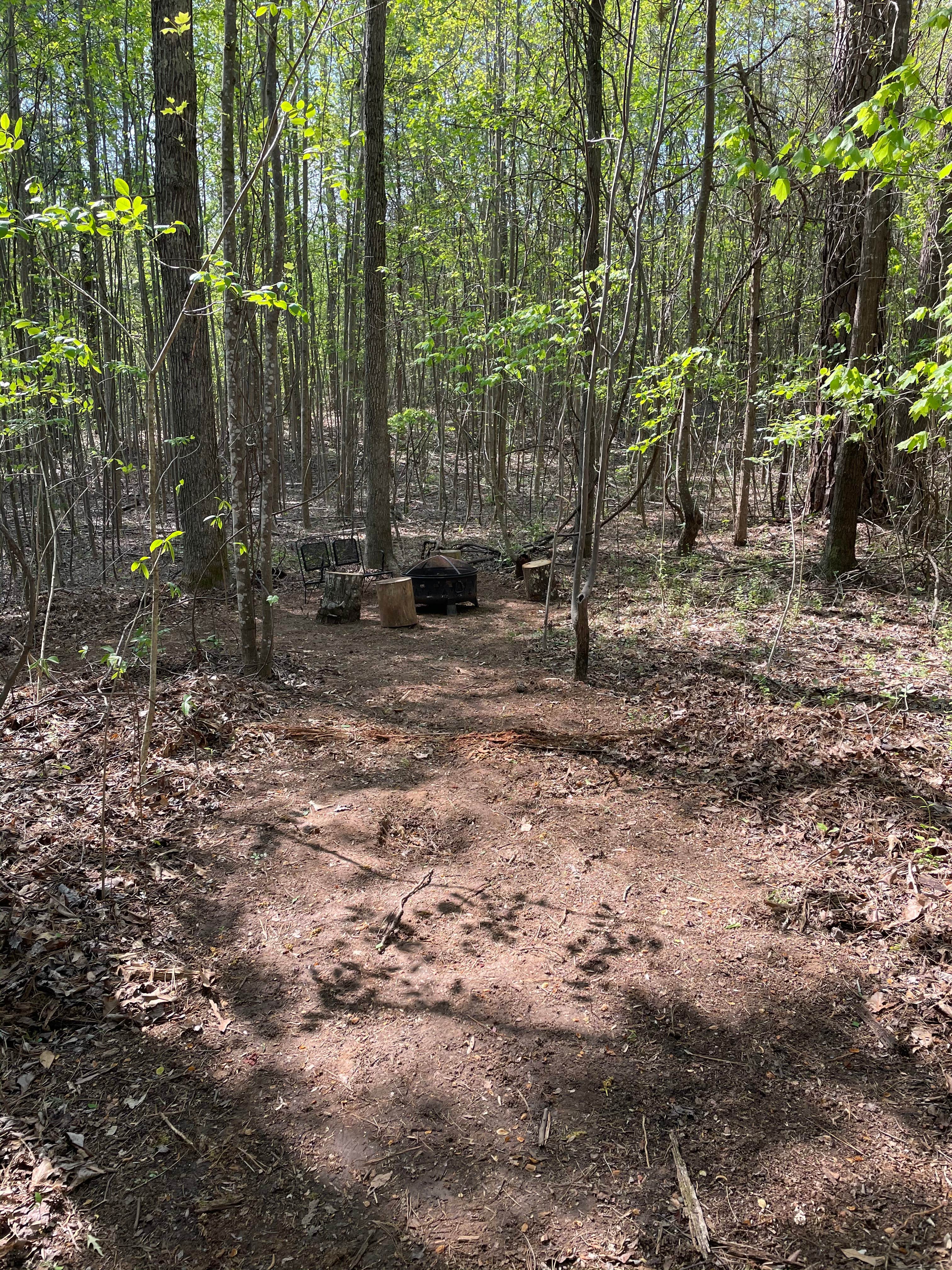 Camper-submitted photo at Lucky Farms Under the Stars near Chester, SC