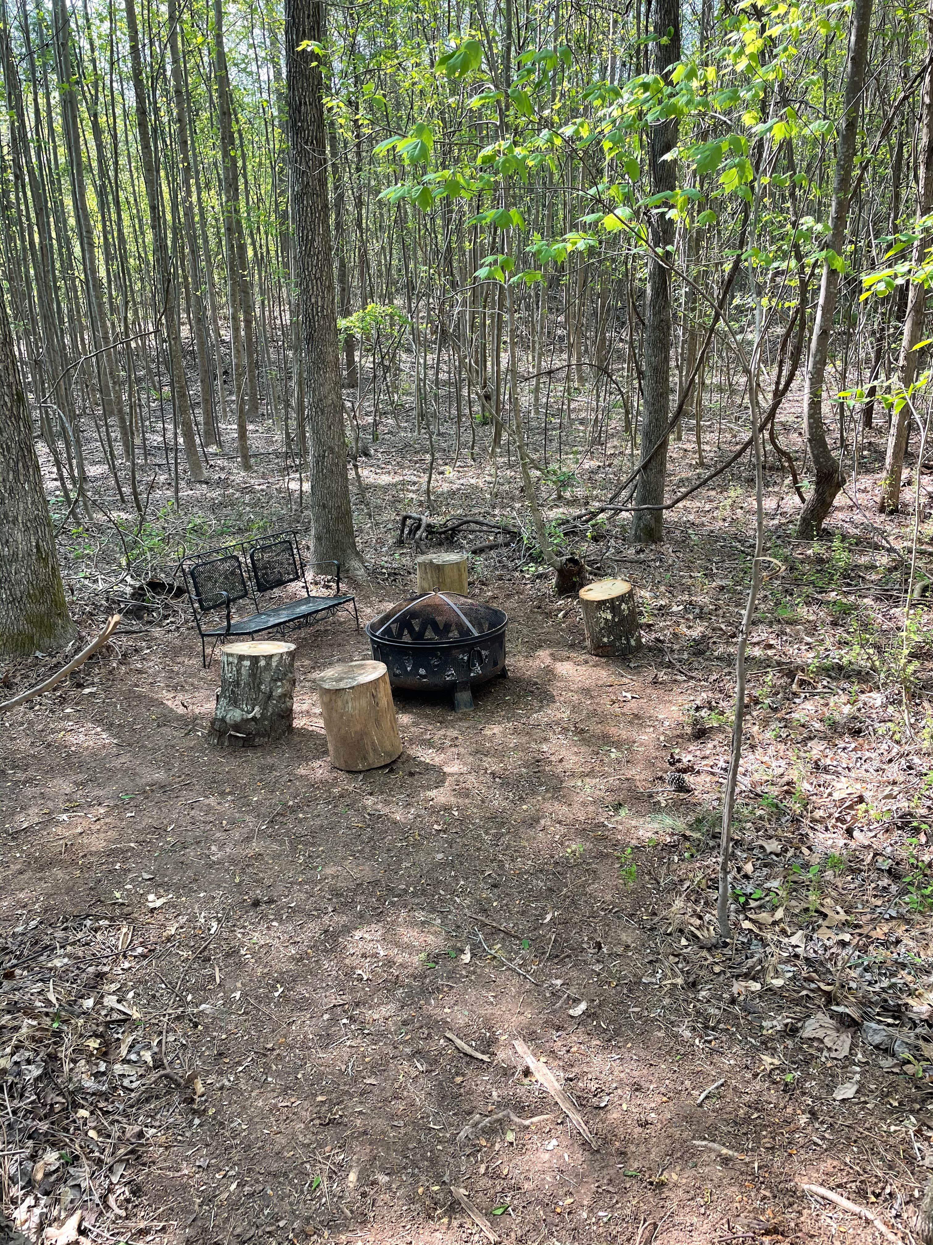 Camper-submitted photo at Lucky Farms Under the Stars near Chester, SC