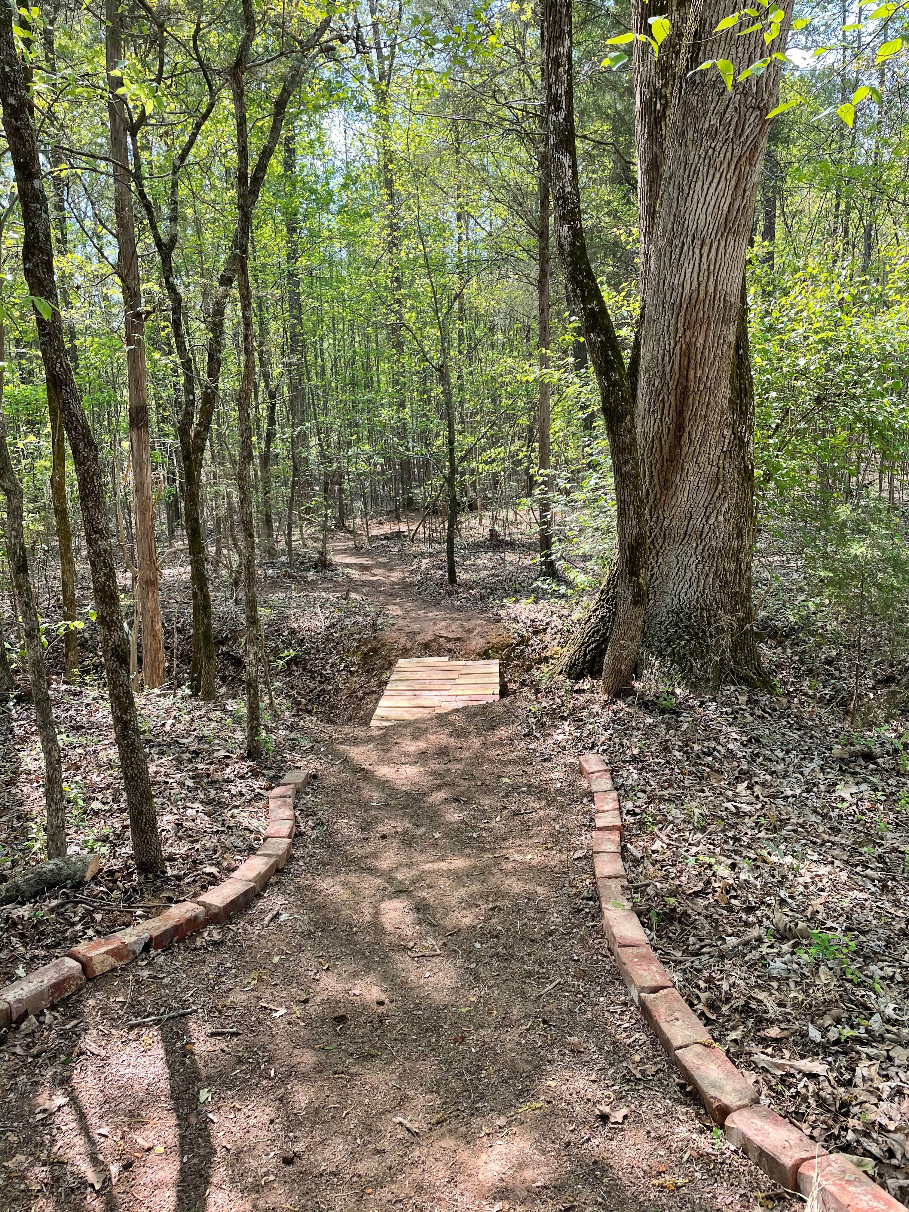 Camper-submitted photo at Lucky Farms Under the Stars near Chester, SC