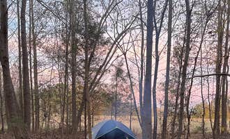 Camping near Andrew Jackson State Park Campground: Lucky Farms Under the Stars, Catawba, South Carolina