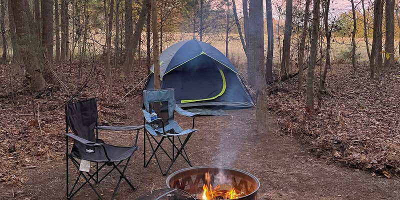 Camper submitted image from Lucky Farms Under the Stars