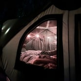 Review photo of Henry Cowell Redwoods State Park Campground by Christian O., October 29, 2022