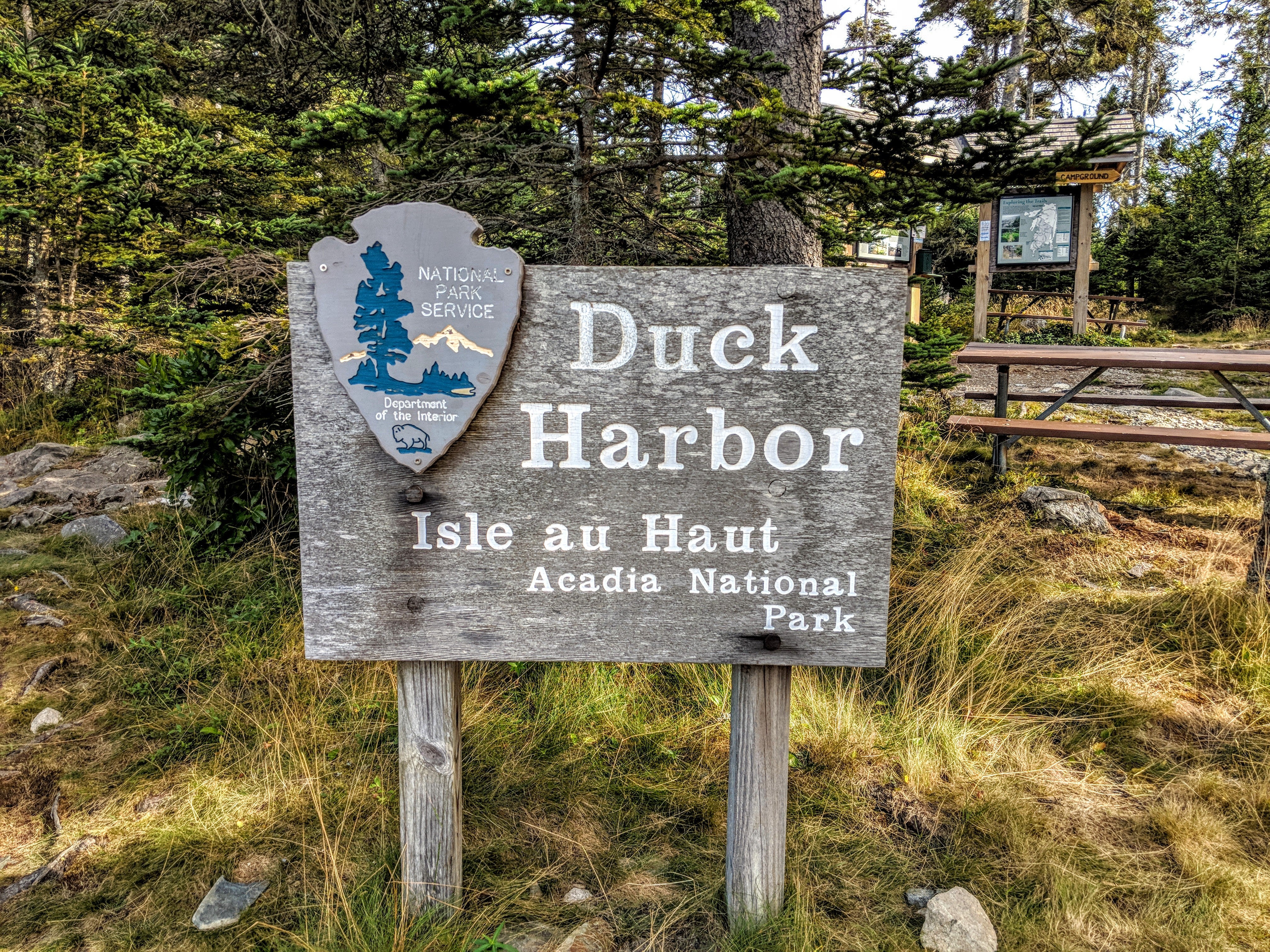 Welcome to Duck Harbor!