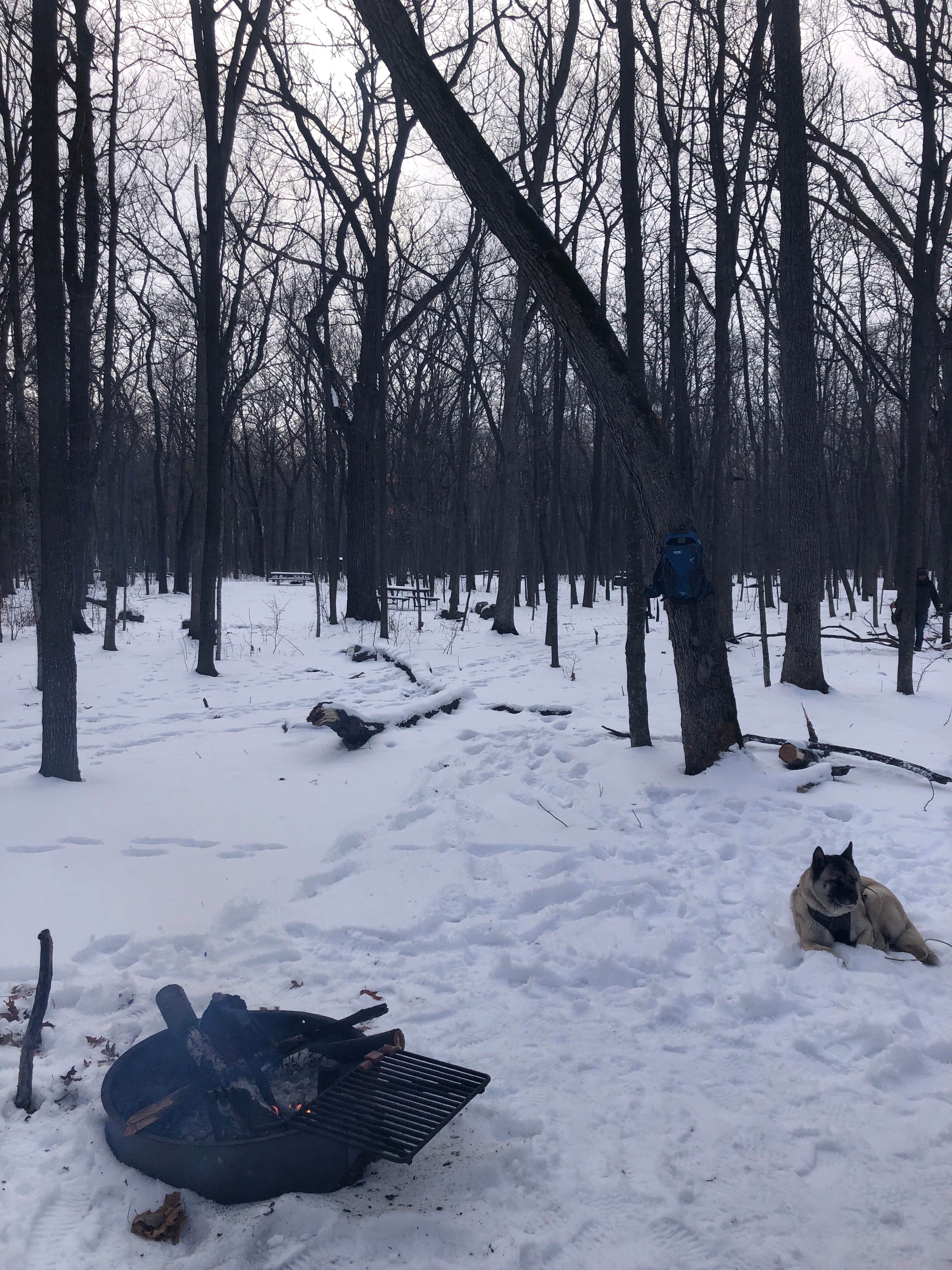 Lesley R.'s photo of camping with pets at High Cliff State Park Campground near Luxemburg, WI