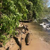 Review photo of High Cliff State Park Campground by Lesley R., October 29, 2022