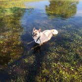 Review photo of High Cliff State Park Campground by Lesley R., October 29, 2022