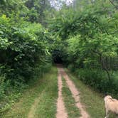 Review photo of High Cliff State Park Campground by Lesley R., October 29, 2022