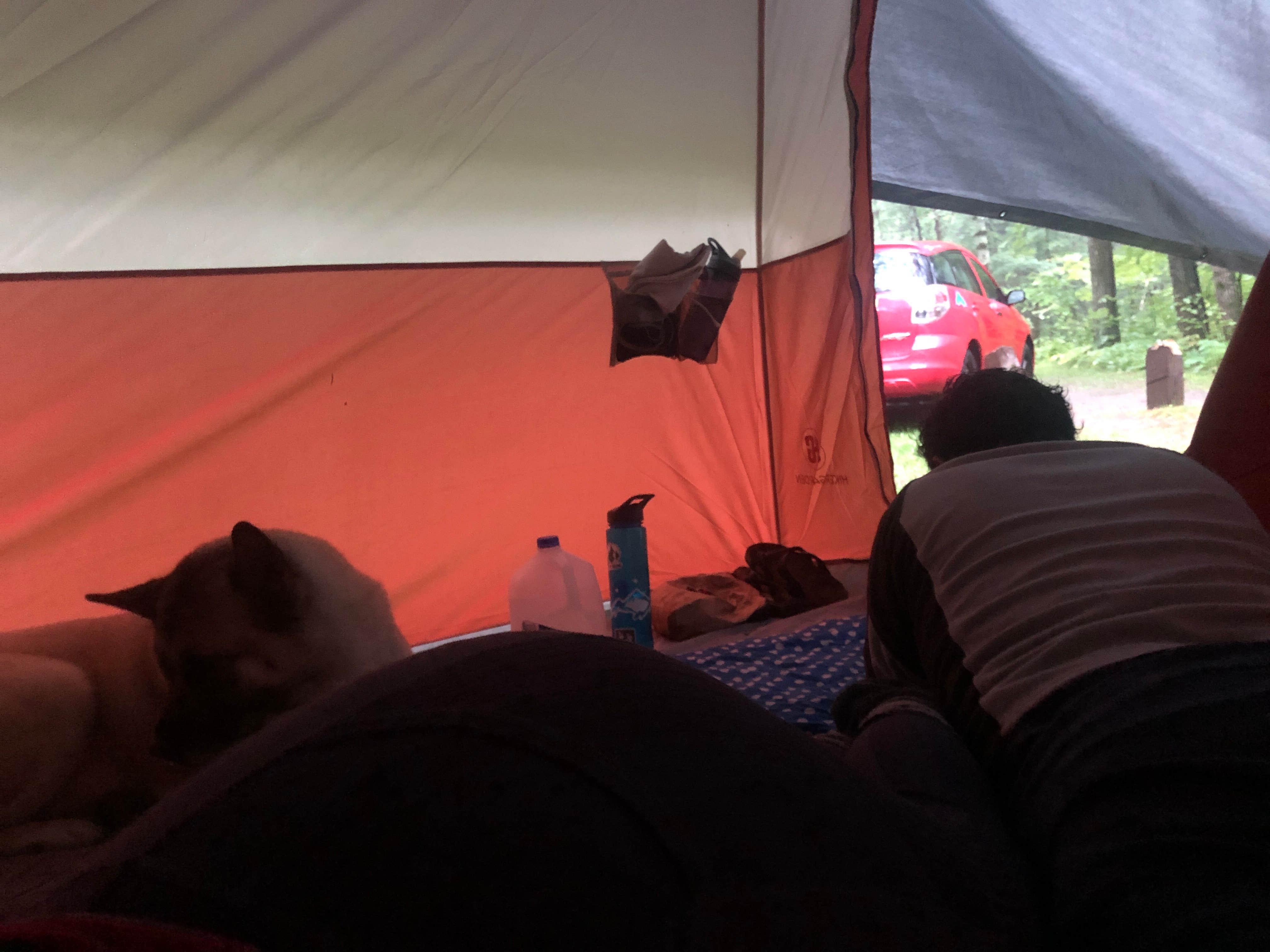 Lesley R.'s photo at Black River State Forest Outdoor Camp — Black River State Forest near Pittsville, WI