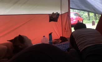 Lesley R.'s photo of camping with pets at Black River State Forest Outdoor Camp — Black River State Forest near Nekoosa, WI