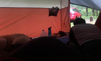 Lesley R.'s photo at Black River State Forest Outdoor Camp — Black River State Forest near Merrillan, WI