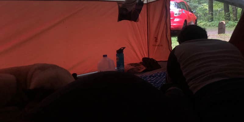 Camper submitted image from Black River State Forest Outdoor Camp — Black River State Forest