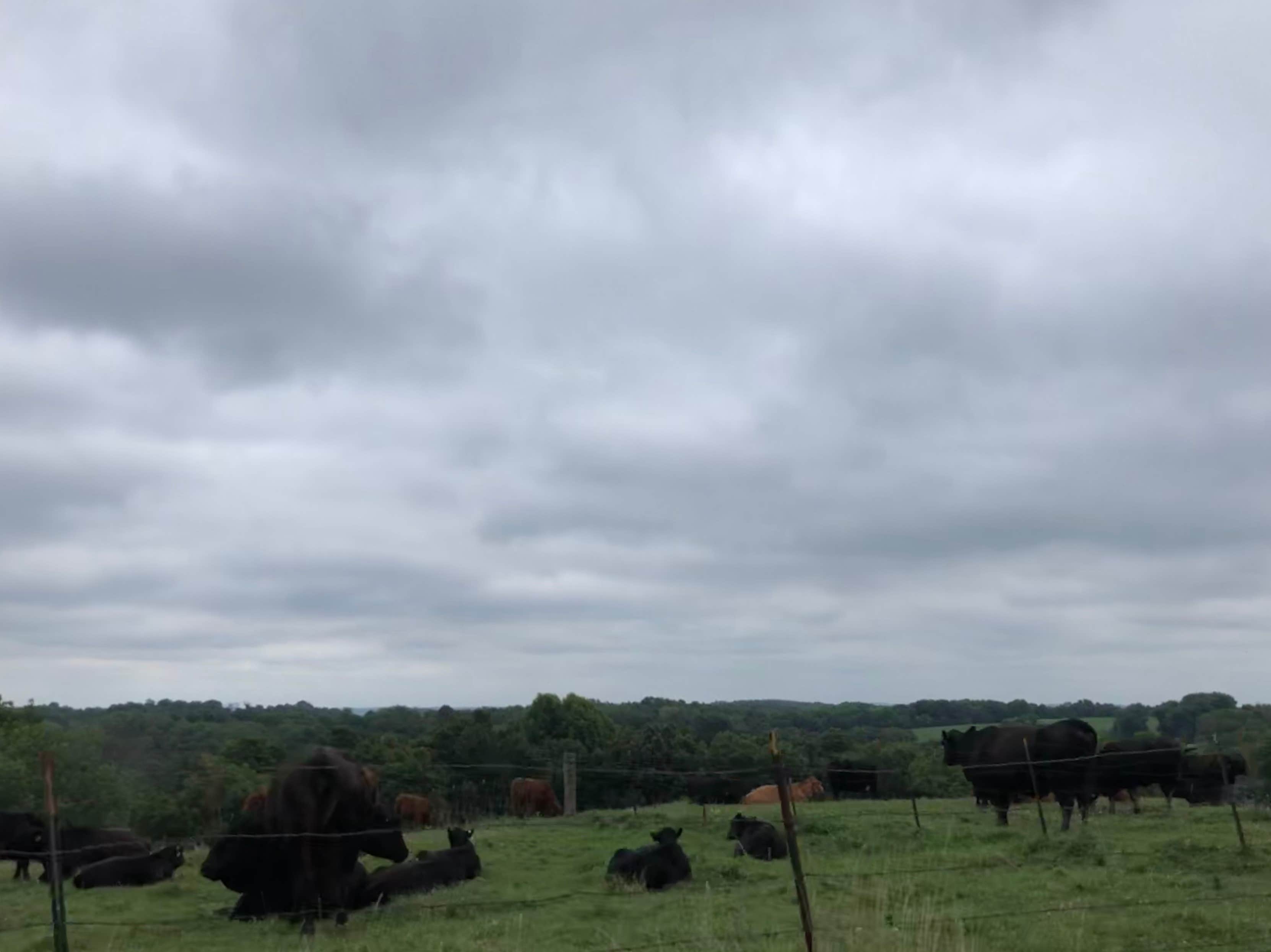 Camper-submitted photo at River Valley Horsecamp near Keosauqua, IA