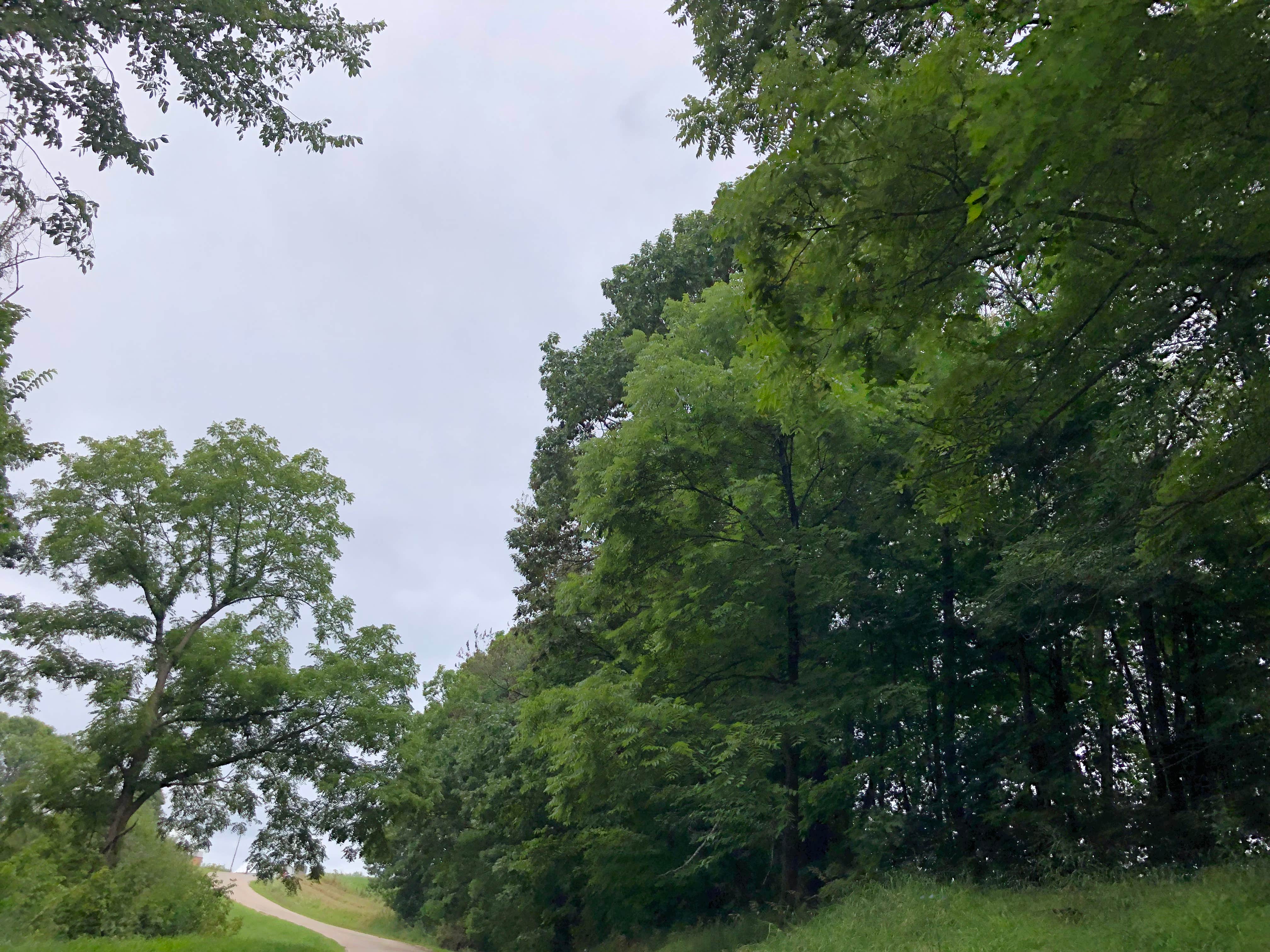 Camper-submitted photo at River Valley Horsecamp near Keosauqua, IA