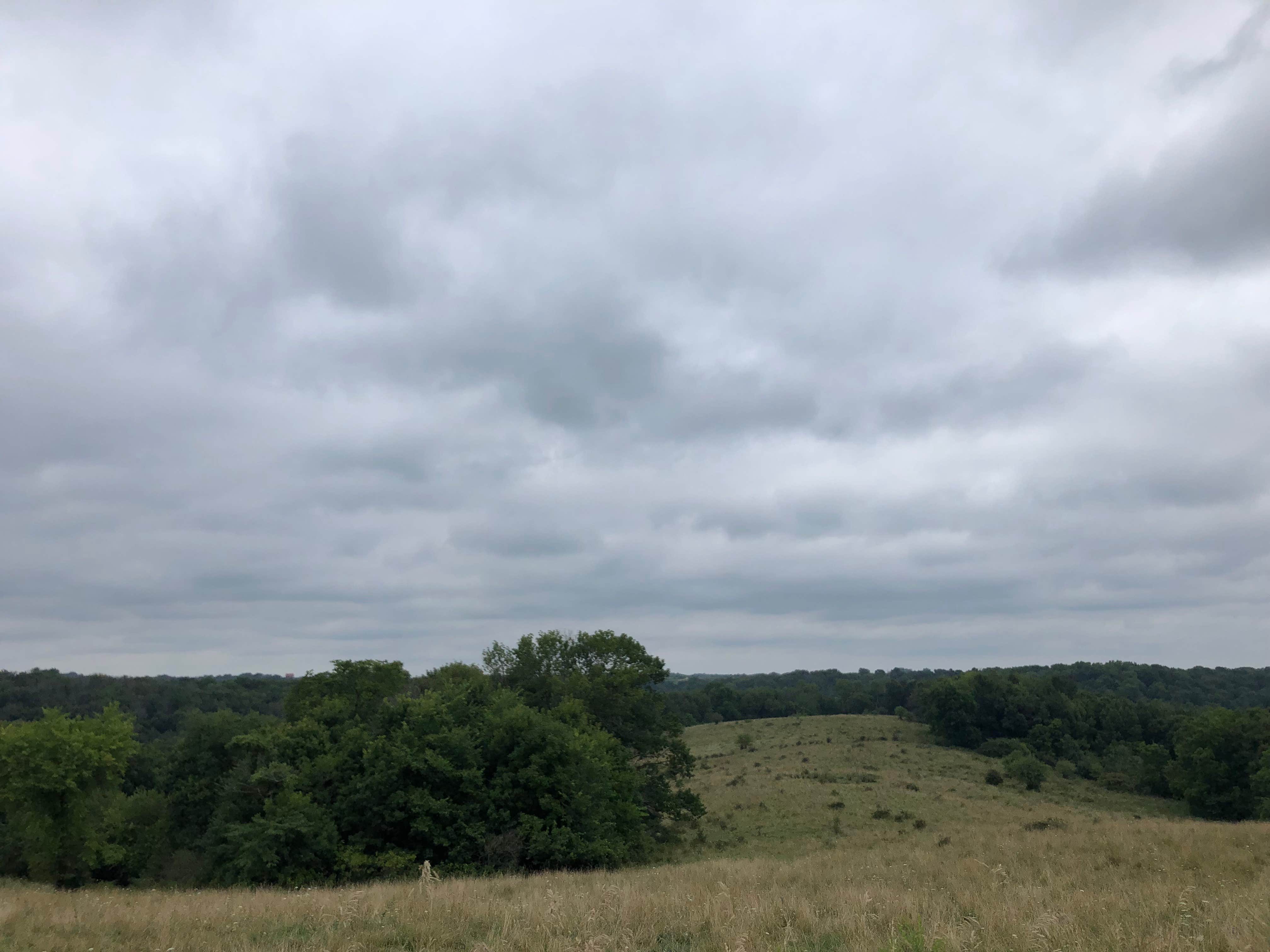 Camper-submitted photo at River Valley Horsecamp near Keosauqua, IA